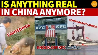 Painted Pigs, Knock-off KFC, Fake Coca-Cola, Copied Carriers: Is Anything Real in China Anymore?