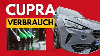 Cupra Formentor / Leon Verbrauch: Meine Erfahrungen (kein Hybrid)