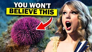 Most SHOCKING Taylor Swift facts!