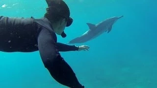 GoPro: Swimming With Dolphins