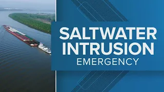 Projected timeline shifting for saltwater impact on New Orleans