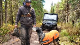 Hunting Alaska's Spruce Grouse for the BEST Chicken & Waffle Sandwich