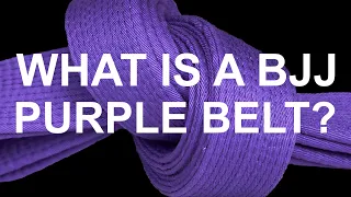 What is a BJJ Purple Belt?