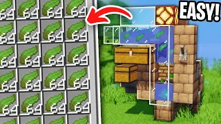 Easiest AFK Auto Kelp Farm in Minecraft Java! (6000+ per hour)