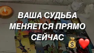 Таро расклад для мужчин. Ваша судьба меняется в эту минуту ✨