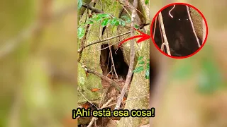 La Extraña Criatura que un YouTuber Encontró Dentro de esta CUEVA