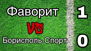 Фаворит - Борисполь Спорт | 1:0