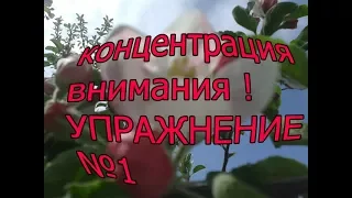 Как научиться концентрации внимания Упражнение 1