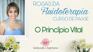 Aula 03 - Princípio Vital - Curso de Passe