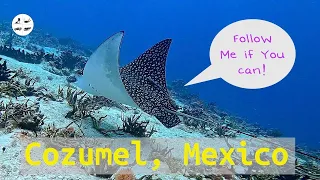 Scuba Diving in Cozumel, Mexico 2023
