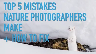 Top 5 Mistakes Nature Photographers Make + How To Fix