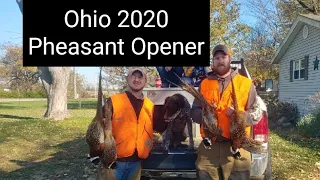 Ohio Pheasant hunting opening weekend 2020