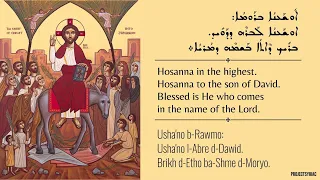 Palm Sunday Hymns "Tubo l-Yalude" & "Qadish Qadish" (Blessed are the Little Children & Holy Holy)