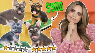 I PAID Bakeries $900 EACH to BAKE MY DOG!