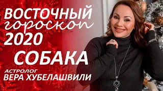 ✴️ Восточный #гороскоп2020 СОБАКА. Глобальные перемены с первых дней... #астролог Вера Хубелашвили