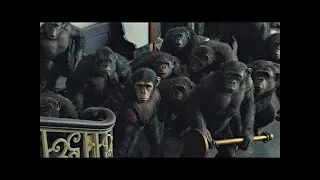 Koba Kills Ash Scene | Dawn of the Planet of the Apes (2014)#LOWI