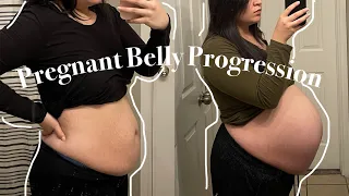 Pregnant Belly Growth | Week by Week Transformation | Second Baby