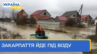 Змиває будинки й автошляхи! На Закарпатті почалася потужна повінь!