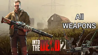 All Weapons | Into The Dead 2