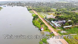 bán nhà vườn - ao - chuồng - nhà yến - mặt tiền sông sài gòn 5000m2 trung an củ chi