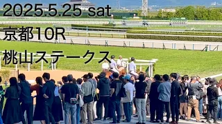 【坂井瑠星】ミスティックロア 京都10R 桃山ステークス