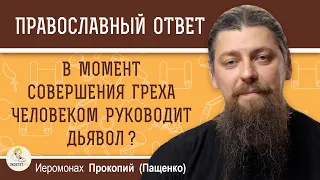 В МОМЕНТ СОВЕРШЕНИЯ ГРЕХА ЧЕЛОВЕКОМ РУКОВОДИТ ДЬЯВОЛ ?  Иеромонах Прокопий (Пащенко)