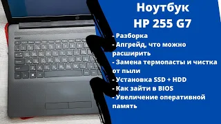 Апгрейд, как разобрать ноутбук HP 255 G7 замена термопасты, установка SSD + HDD