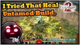 I Tried That Untamed Healer Build