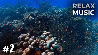 Подводный Мир - Relax Видео