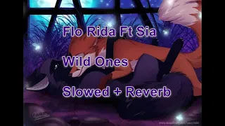 Wild Ones (Flo Rida feat Sia)  {Slowed + Reverb}