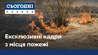 Ексклюзивні кадри з епіцентру лісової пожежі на Луганщині