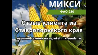 Отзыв о кукурузе Микси