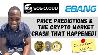 SOS Limited (SOS) & EBON Stock Price Predictions | Analysis & What Happened In The Market Today!