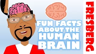 Fun Facts about the Brain: Interesting facts about the human brain (Educational)