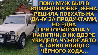 Отправив мужа в командировку, поехала на дачу, но заглянув во двор, обомлела...