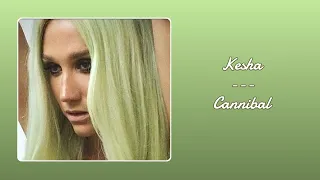 Cannibal - Kesha | BASS BOOSTED