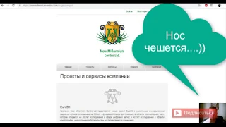 Обманный проект New Millenium Centre Ltd или нет