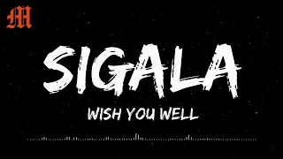 Sigala, Becky Hill - Wish You Well (Lyrics)