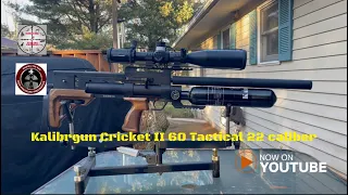 A closer 👀 at the Kalibrgun Cricket II Tactical 60 22 caliber! #kalibrgun #kalibrgunairguns