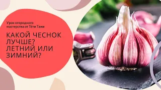 761. Какой чеснок лучше...летний или зимний...