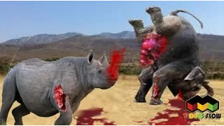 Most Amazing Wild Animal Attacks #3   Lion, Jaguar, Wild Dog, Crocodile   CRAZIEST Animal Fights