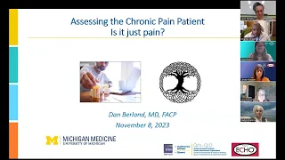 IPRO ECHO Session 2: Assisting Patients with Chronic Pain