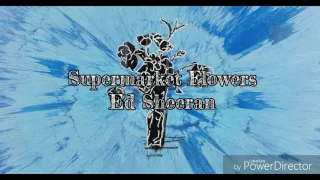 Supermarket Flowers 超市花束-Ed Sheeran紅髮艾德 中文翻譯