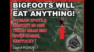 BIGFOOT SPOTTED NEAR RED RIVER GORGE, KY #bigfoot #kentucky #cryptids #youtube #shorts