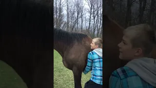 My Horse Loves Scratches Part 2