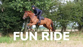 FAST FUN RIDE ON MY EX RACEHORSE