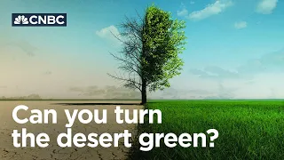 How the UAE is turning its desert green