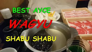 BEST AYCE WAGYU Shabu Shabu(Japanese Hot Pot) & Sukiyaki place in Tokyo Japan with surprise video !!