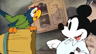 Mickey's Parrot | A Classic Mickey Cartoon | Have A Laugh