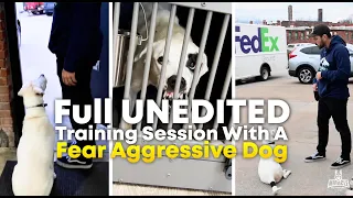 Full UNEDITED Training Session With A Fear Aggressive Dog